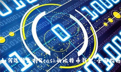 如何选择支持Zcash的比特币钱包：全面指南