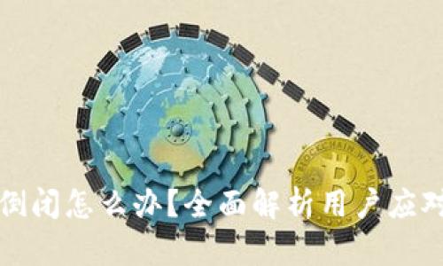 比特币钱包公司倒闭怎么办？全面解析用户应对策略和风险管理