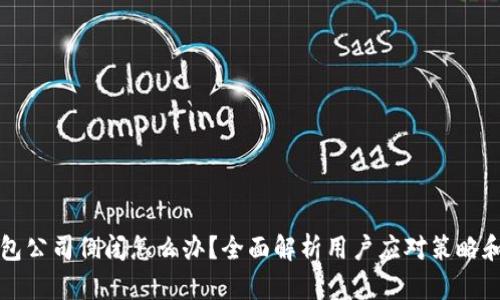 比特币钱包公司倒闭怎么办？全面解析用户应对策略和风险管理