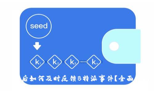 被盗后如何及时反馈B特派事件？全面指南