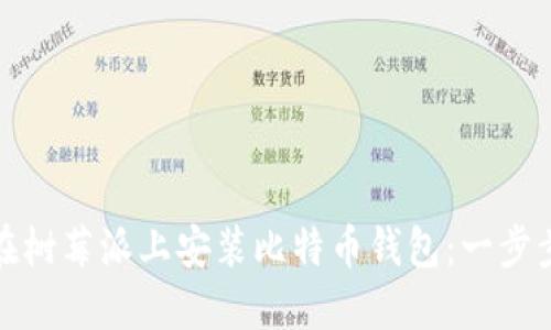 如何在树莓派上安装比特币钱包：一步步教程