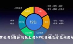 如何使用B特派钱包支持