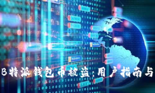 如何防止B特派钱包币被盗：用户指南与安全措施