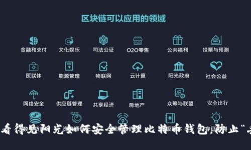 女孩一眼看得见阳光如何安全管理比特币钱包，防止“丢失”风险