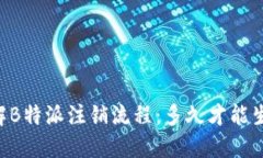 了解B特派注销流程：多久