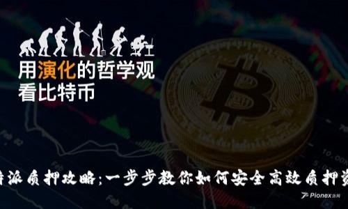 B特派质押攻略：一步步教你如何安全高效质押资产