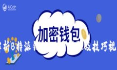 全面解析B特派钱包：使用
