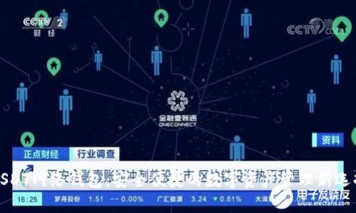USDT网络钱包：安全便捷的数字资产管理新选择