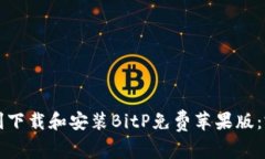 如何顺利下载和安装BitP免