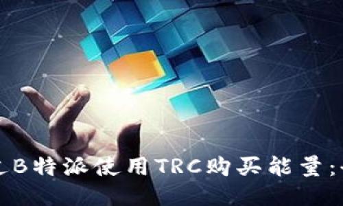 如何通过B特派使用TRC购买能量：全面指南