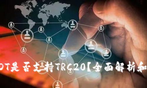 b特派USDT是否支持TRC20？全面解析和使用指南