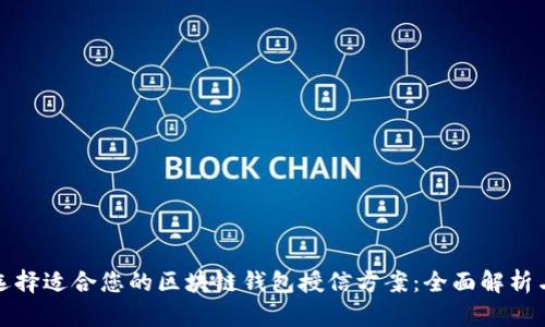 如何选择适合您的区块链钱包授信方案：全面解析与建议