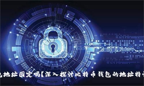 比特币钱包地址固定吗？深入探讨比特币钱包的地址特性与安全性