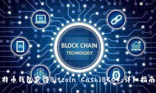 如何通过比特币钱包获得Bitcoin Cash（BCC）：详细指南与操作技巧