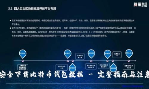 如何安全下载比特币钱包数据 - 完整指南与注意事项
