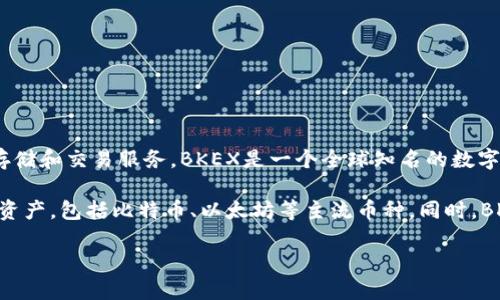 BK钱包是由BKEX交易所推出的一款数字资产钱包，它旨在为用户提供一个安全、便捷的加密货币存储和交易服务。BKEX是一个全球知名的数字资产交易平台，成立于2018年，具有丰富的交易对和高流动性，吸引了大量用户参与加密货币投资。

BK钱包的特点在于其用户友好的界面和强大的安全性。用户可以通过BK钱包轻松管理自己的加密资产，包括比特币、以太坊等主流币种。同时，BK钱包还集成了交易功能，让用户可以在钱包内快速进行资产交易，提升了交易的便利性。

如果你想了解更多关于BK钱包的功能、使用方法以及安全性等方面的信息，请告诉我！