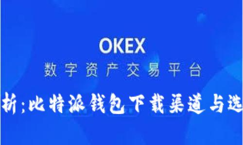 全面解析：比特派钱包下载渠道与选用指南