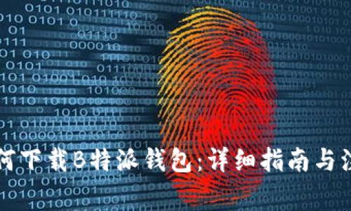 国内如何下载B特派钱包：详细指南与注意事项