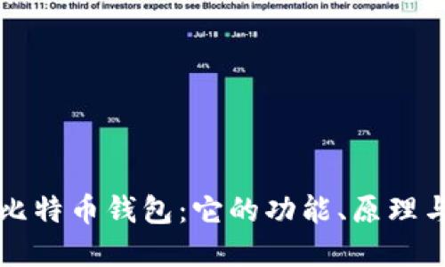 深入了解比特币钱包：它的功能、原理与选择指南