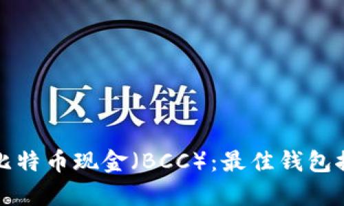 如何安全存储比特币现金（BCC）：最佳钱包推荐与使用指南