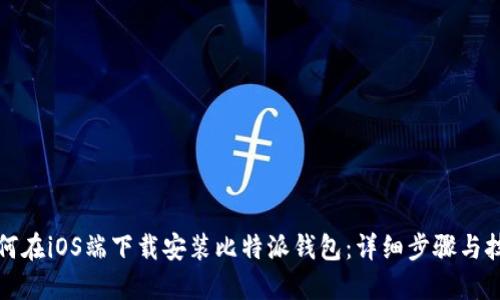 如何在iOS端下载安装比特派钱包：详细步骤与技巧