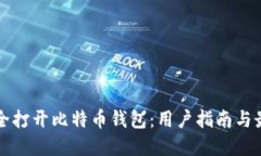 如何安全打开比特币钱包