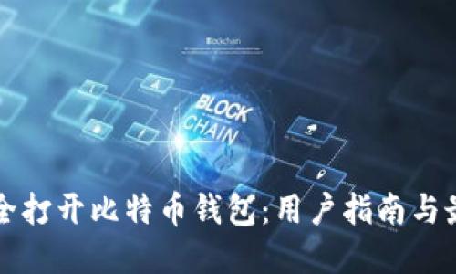 如何安全打开比特币钱包：用户指南与最佳实践