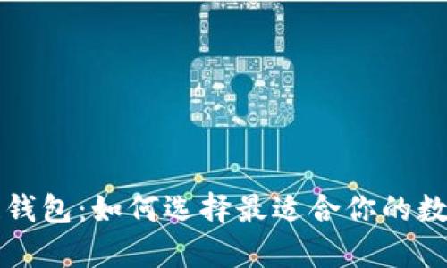 以太坊与区块链钱包：如何选择最适合你的数字货币存储方案