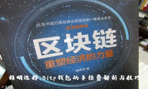 精明选择：Bitp钱包的手续费解析与技巧
