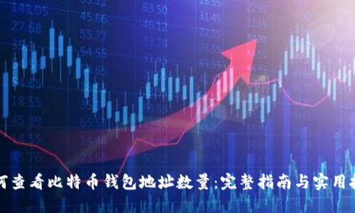 如何查看比特币钱包地址数量：完整指南与实用技巧