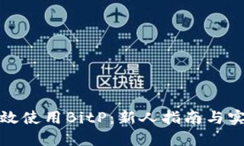 如何高效使用BitP：新人指南与实用技巧