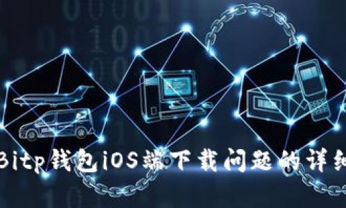 解决Bitp钱包iOS端下载问题的详细指南
