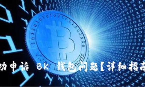 如何成功申诉 BK 钱包问题？详细指南与技巧