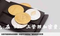 Bitkeep 钱包：在 BSC 上管理