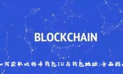 如何获取比特币钱包ID与钱
