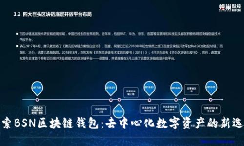 探索BSN区块链钱包：去中心化数字资产的新选择