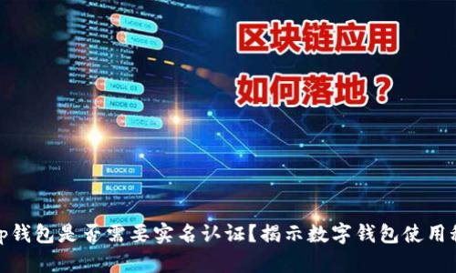 Bitp钱包是否需要实名认证？揭示数字钱包使用秘密