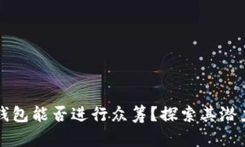 以太坊钱包能否进行众筹？探索其潜力与挑战