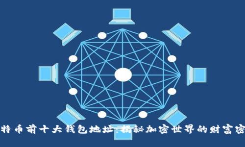 比特币前十大钱包地址：揭秘加密世界的财富密码