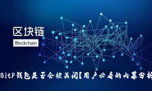 BitP钱包是否会被关闭？用户必看的内幕分析