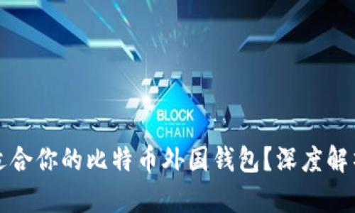 如何选择最适合你的比特币外国钱包？深度解析与实用推荐