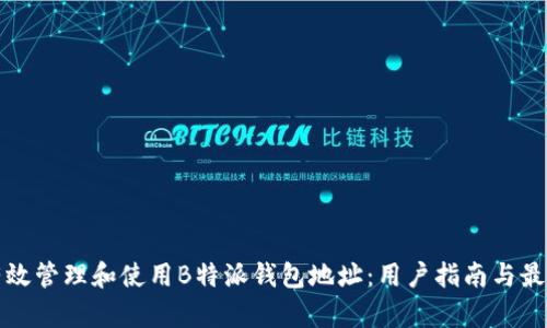 如何有效管理和使用B特派钱包地址：用户指南与最佳实践
