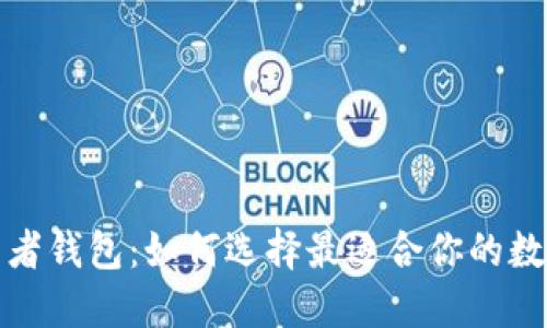 揭秘区块链开发者钱包：如何选择最适合你的数字资产管理工具