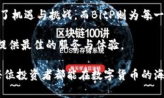   安全便捷的BitP官网版安