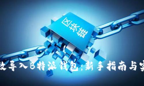如何高效导入B特派钱包：新手指南与实用技巧