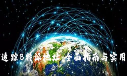 如何追踪B特派地址：全面指南与实用技巧