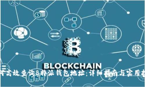 如何高效查询B特派钱包地址：详细指南与实用技巧