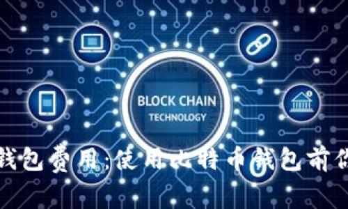 探索比特币在线钱包费用：使用比特币钱包前你需要知道的一切