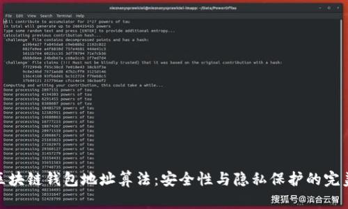 揭秘区块链钱包地址算法：安全性与隐私保护的完美结合