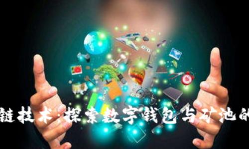 解密区块链技术：探索数字钱包与矿池的独特魅力